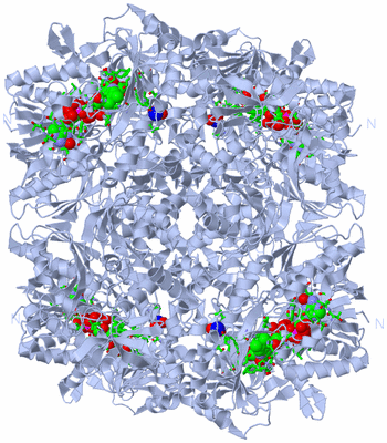 Image Biol. Unit 1 - sites