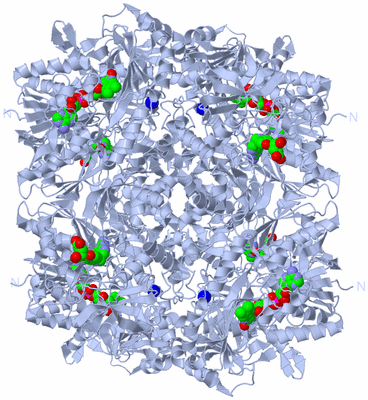 Image Biological Unit 1