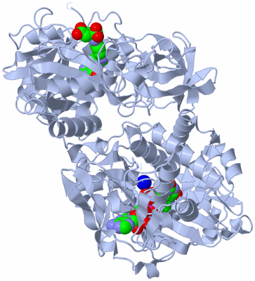 Image Biological Unit 2