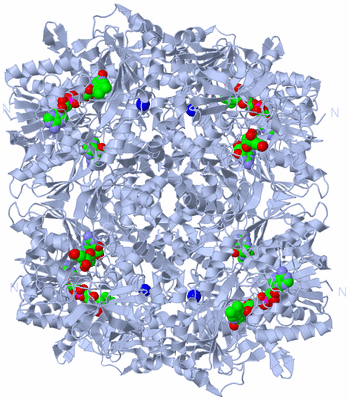 Image Biological Unit 1