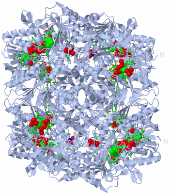 Image Biol. Unit 1 - sites