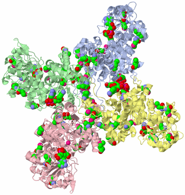 Image Biological Unit 1