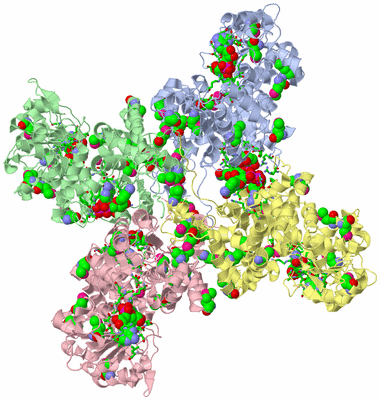 Image Biol. Unit 1 - sites