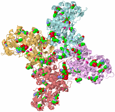 Image Biological Unit 2