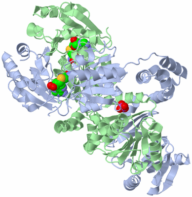 Image Asym./Biol. Unit