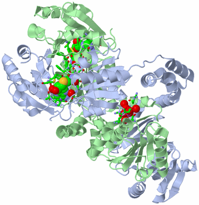 Image Asym./Biol. Unit - sites