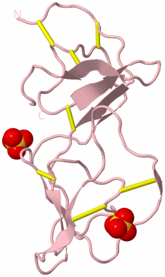 Image Biological Unit 3