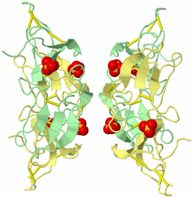 Image Biological Unit 5