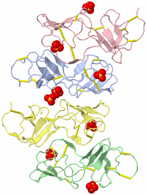 Image Biological Unit 6