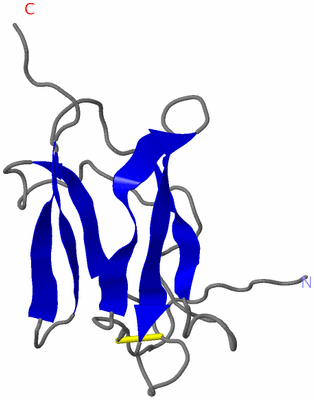 Image NMR Structure - model 1