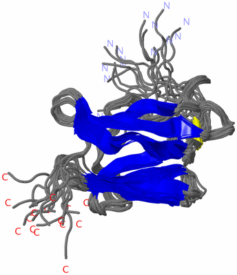 Image NMR Structure - all models