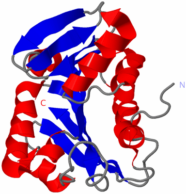 Image NMR Structure - model 1