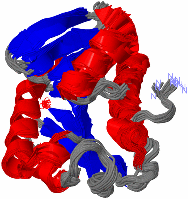 Image NMR Structure - all models