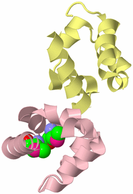 Image Biological Unit 2