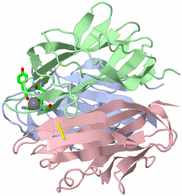 Image Asym./Biol. Unit - sites