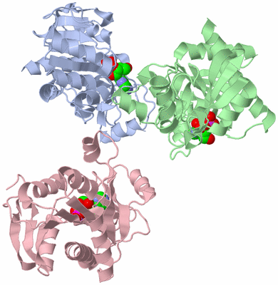 Image Asymmetric Unit