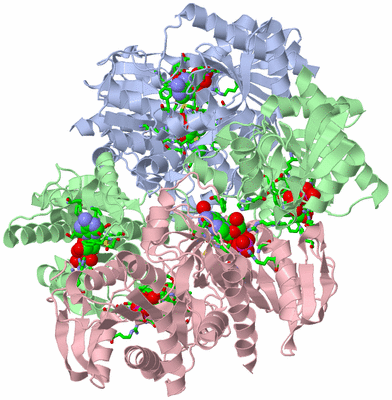 Image Biol. Unit 1 - sites