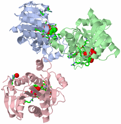 Image Asym. Unit - sites