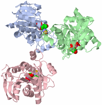 Image Asymmetric Unit