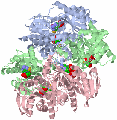 Image Biological Unit 1