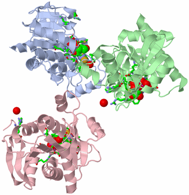 Image Asym. Unit - sites