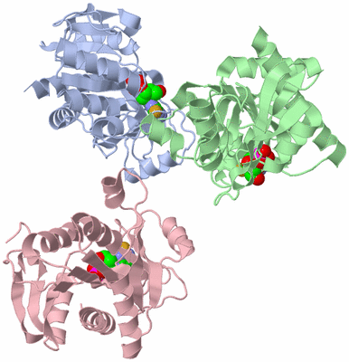 Image Asymmetric Unit