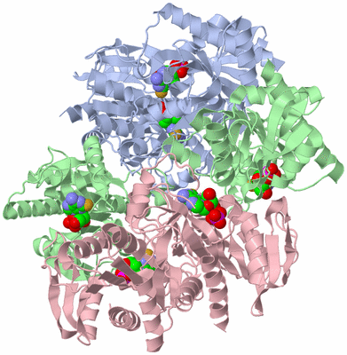 Image Biological Unit 1