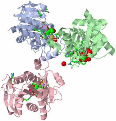 Image Asym. Unit - sites