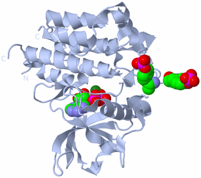 Image Biological Unit 1