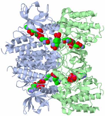 Image Biological Unit 3