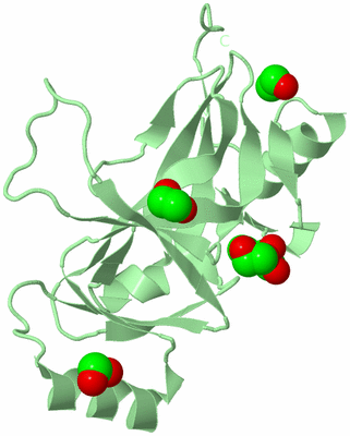 Image Biological Unit 3