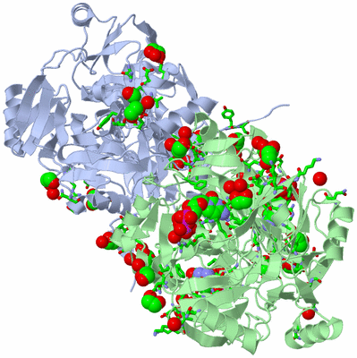 Image Biol. Unit 1 - sites