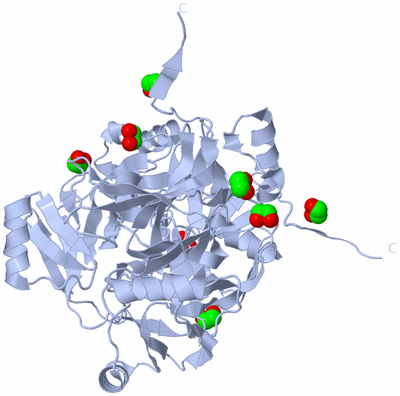 Image Biological Unit 2