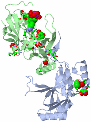 Image Asym. Unit - sites