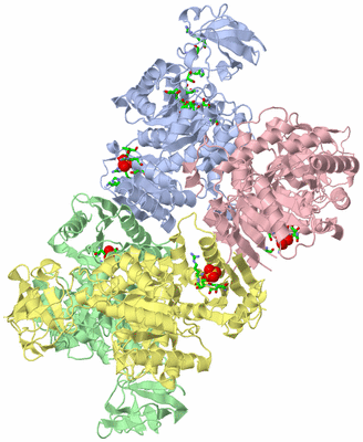 Image Biol. Unit 1 - sites