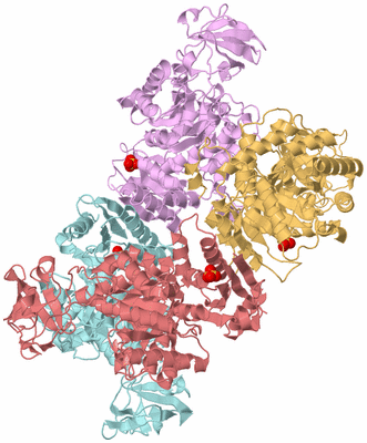 Image Biological Unit 2