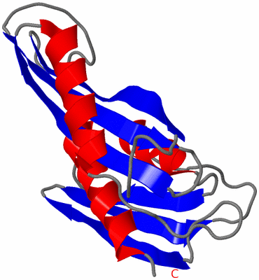 Image Asymmetric Unit