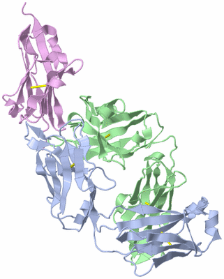 Image Biological Unit 1