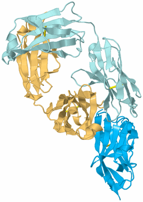 Image Biological Unit 2