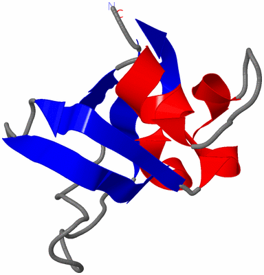 Image NMR Structure - model 1