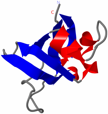 Image NMR Structure - model 1