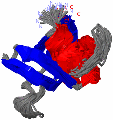 Image NMR Structure - all models