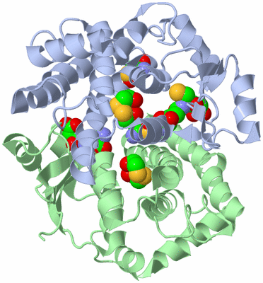 Image Asym./Biol. Unit