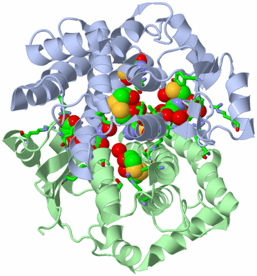 Image Asym./Biol. Unit - sites