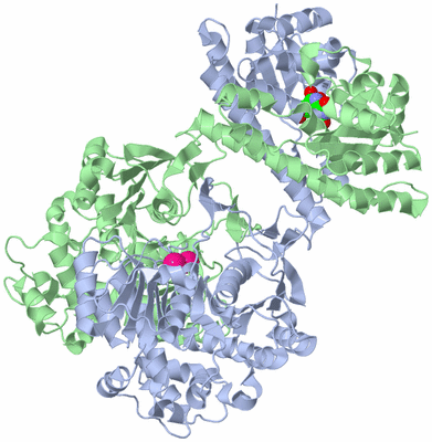 Image Biological Unit 1