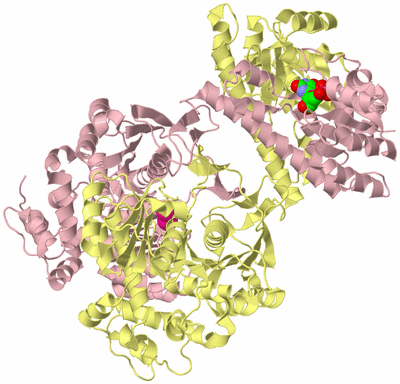 Image Biological Unit 2