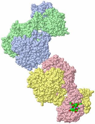 Image Asym. Unit - sites