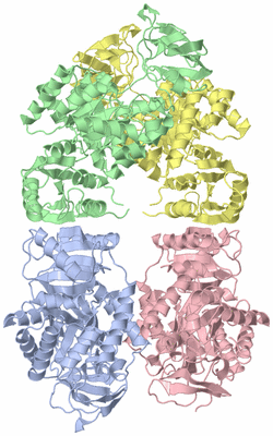 Image Asym./Biol. Unit