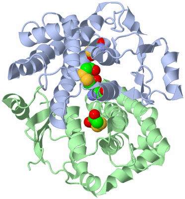 Image Asym./Biol. Unit