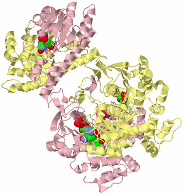 Image Biological Unit 2